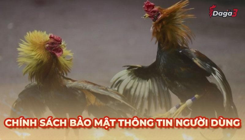 Chính sách bảo mật thông tin người dùng tại Sysaler.io