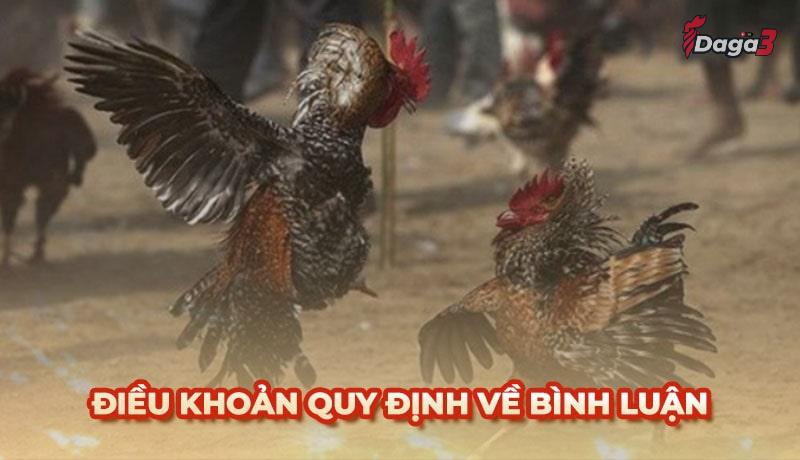 Người dùng cần tuân thủ một số điều khoản khi bình luận trên Sysaler.io