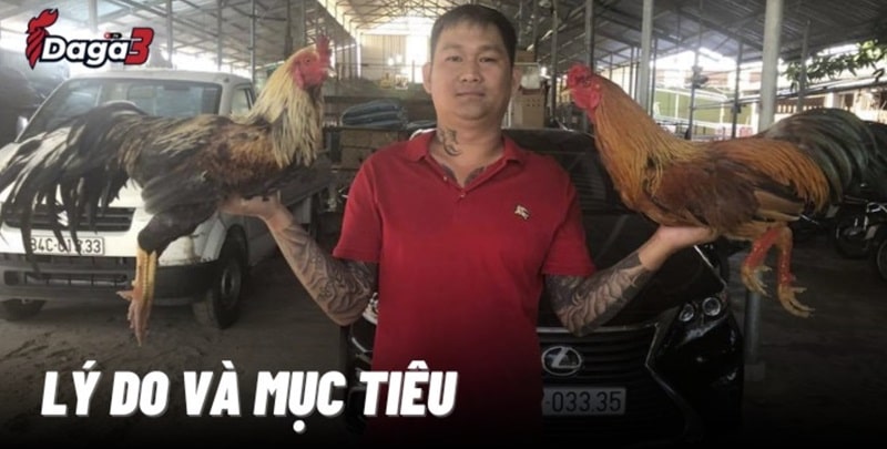 Mít Trà Cú sáng lập trang đá gà trực tiếp Sysaler.io